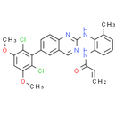 BLU-9931 - CAS