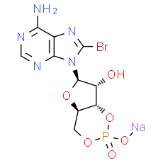 8-Bromo-cAMP sodium salt