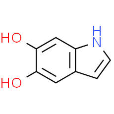 5, 6-Dihydroxyindole