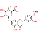 DiosMetin 7-O-β-D-Glucuronide