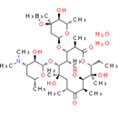 Erythromycin A dihydrate - CAS
