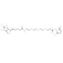 Biotin-PEG3-NHS ester