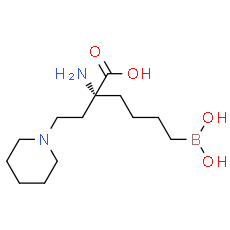 Arginase inhibitor 1