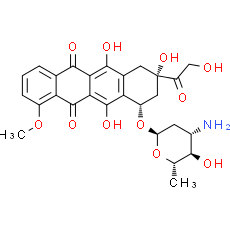 Epirubicin