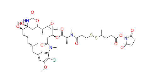 SPP-DM1