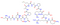 Somatostatin-28 (1-14)