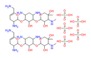Sisomicin sulfate