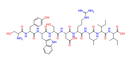 signal transducer and activator of transcription 6 fragment