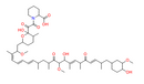 Seco Rapamycin