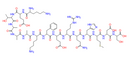 S Tag Peptide