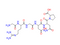 RGD peptide (GRGDNP) - CAS# 114681-65-1