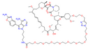 RapaLink-1
