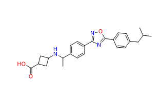 S1PR1-MO-1