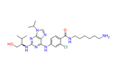 Protein kinase affinity probe 1