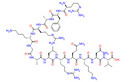 Protein Kinase C (19-31)