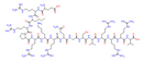 Protein Kinase C Peptide Substrate