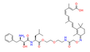 PROTAC CRABP-II Degrader-1