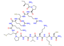 Proteasome-activating peptide 1