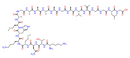 Prion Protein 106-126 (human)