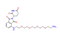 Pomalidomide-PEG4-C2-NH2