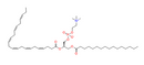 Palmitoyldocosahexaenoyl phosphatidylcholine