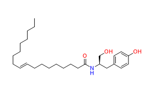 OMDM-2