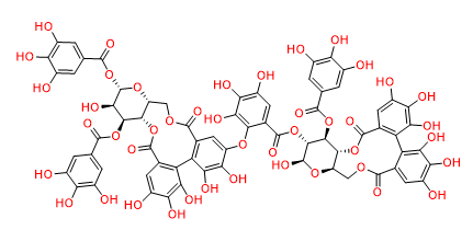 Oenothein B - CAS