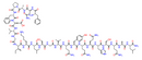 Obestatin(human)
