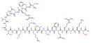Neuropeptide S (human)