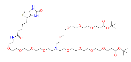 N-(Biotin-PEG4)-N-bis(PEG4-Boc)