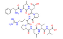 Cytochrome P450 CYP1B1 (190-198) [Homo sapiens]