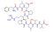 Cytochrome P450 CYP1B1 (190-198) [Homo sapiens]