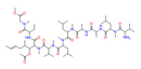 Cyclosporin A-Derivative 2 - CAS
