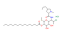 Clindamycin palmitate HCl - CAS