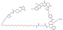 CL2-SN-38