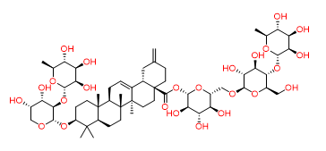Ciwujianoside B - CAS