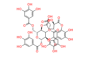 Chebulinic Acid