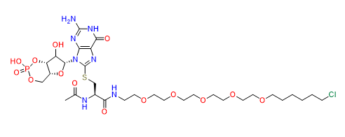 cGMP-HTL