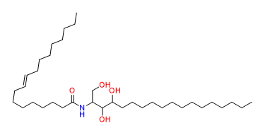 Ceramides Mixture