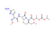 Cefpodoxime Proxetil