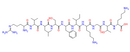 CEF4