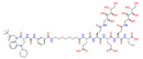 CCK2R Ligand-Linker Conjugates 1 - CAS