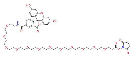 Carboxyfluorescein-PEG12-NHS