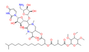 Caprazamycin