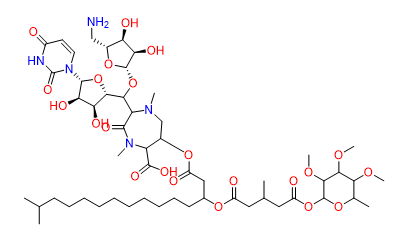 Caprazamycin