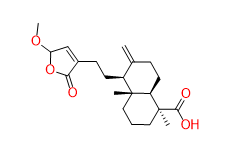 15-Methoxypinusolidic acid