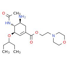 OsMo