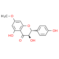 Aromadendrin 7-O-methyl ether