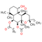 Forskolin G