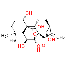 Hebeirubescensin H